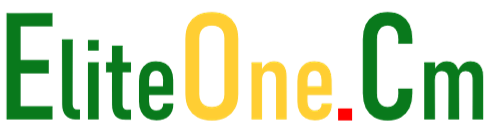 EliteOne.Co logo